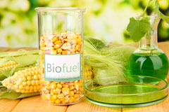 Seatle biofuel availability